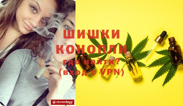 spice Нея
