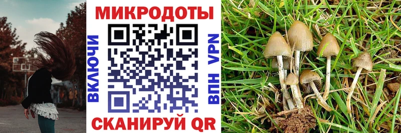 Галлюциногенные грибы Cubensis  Мамоново 